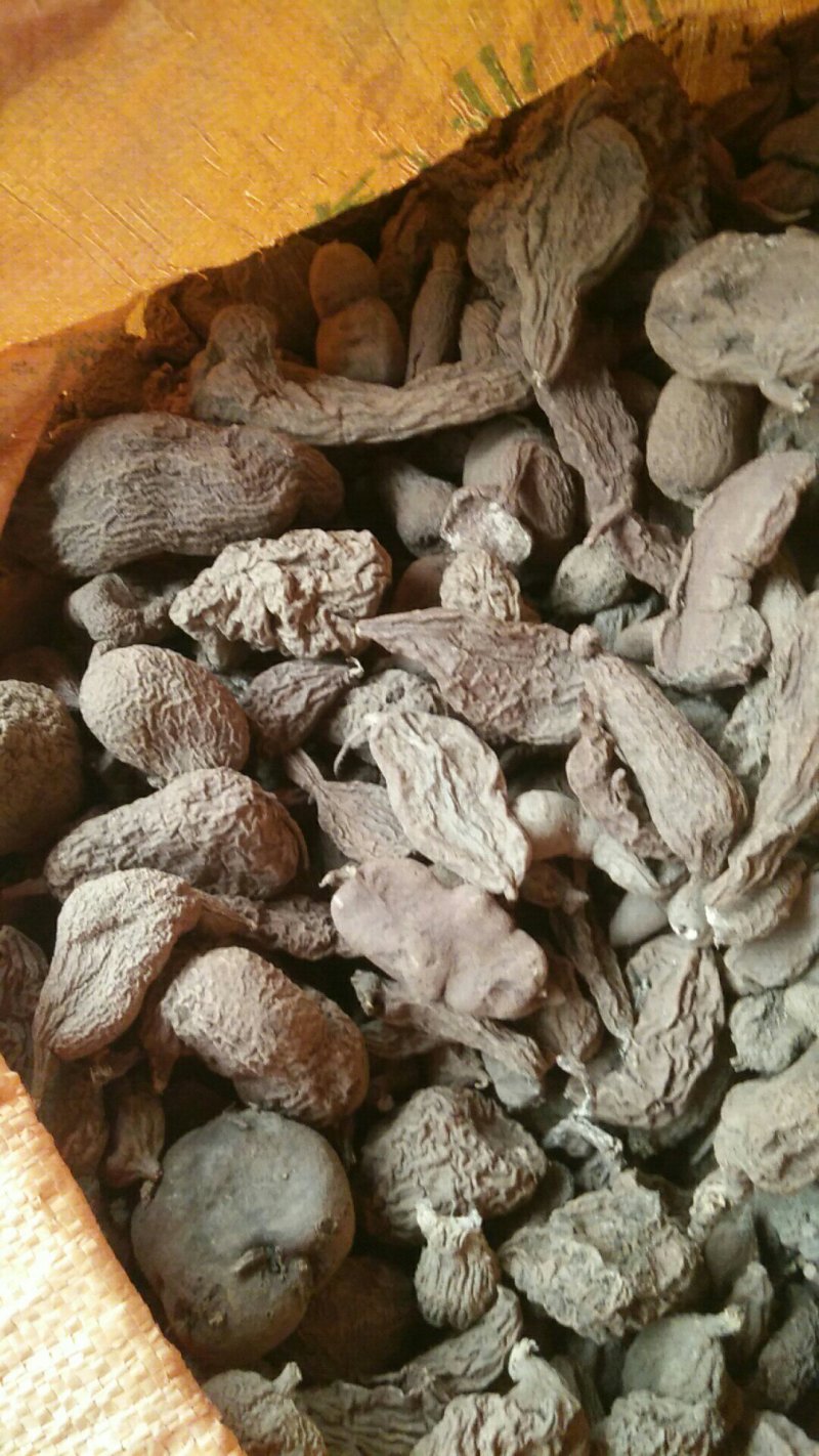 金果榄，地苦胆，青牛胆，壁石榴均为大自然生长，药用价值高