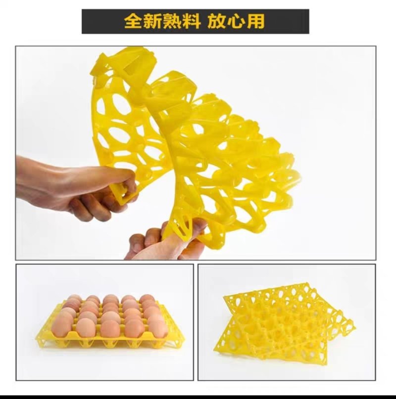 蛋托