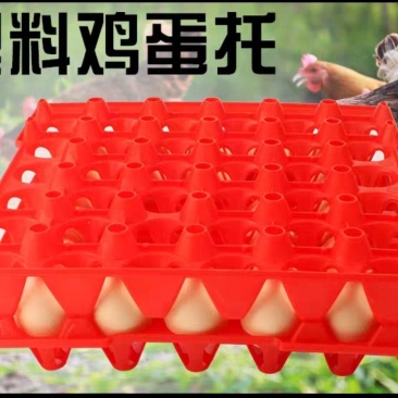 蛋托