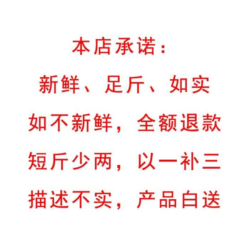 鲜活赤贝新鲜蛤蜊毛蛤红心赤贝