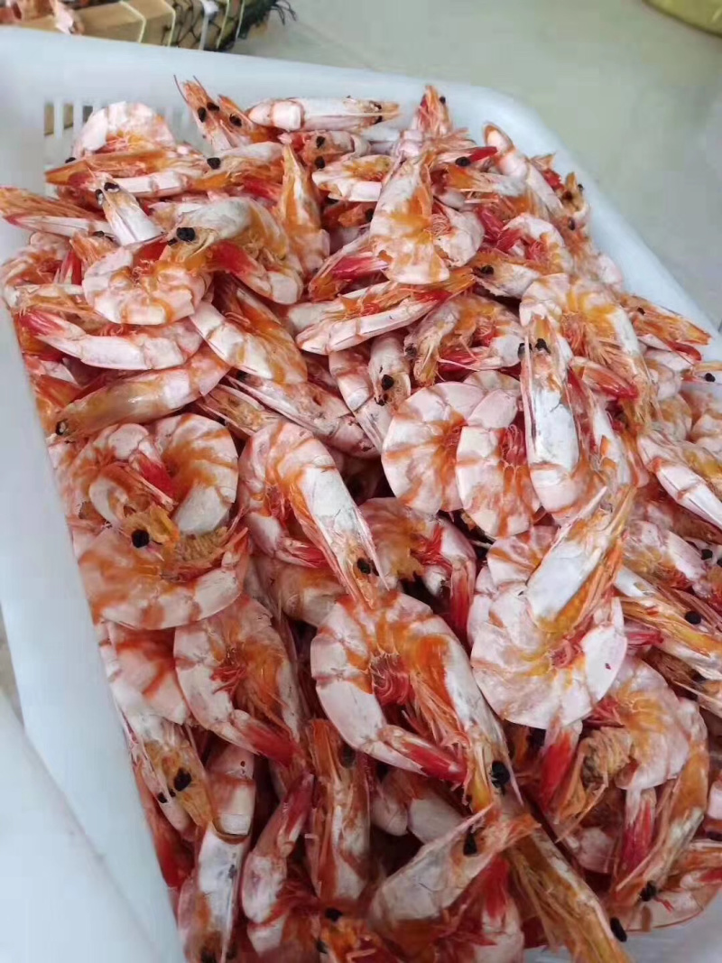 湛江特产天然虾干对虾干