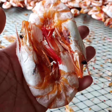湛江特产天然虾干对虾干