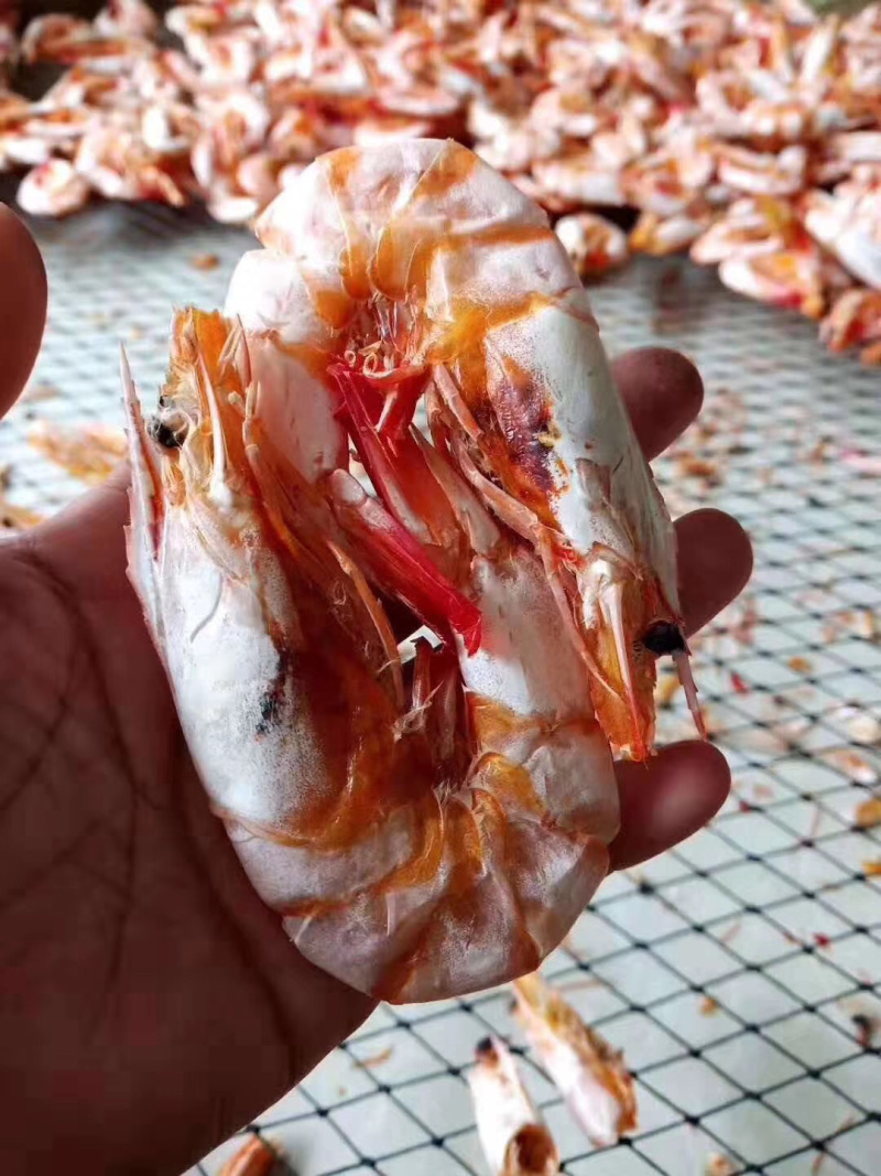 湛江特产天然虾干对虾干