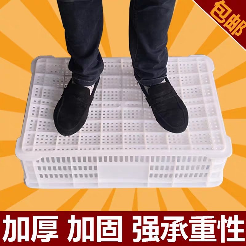 周转箱