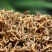 云南滇红红茶产地批发直销特价一斤包邮500g