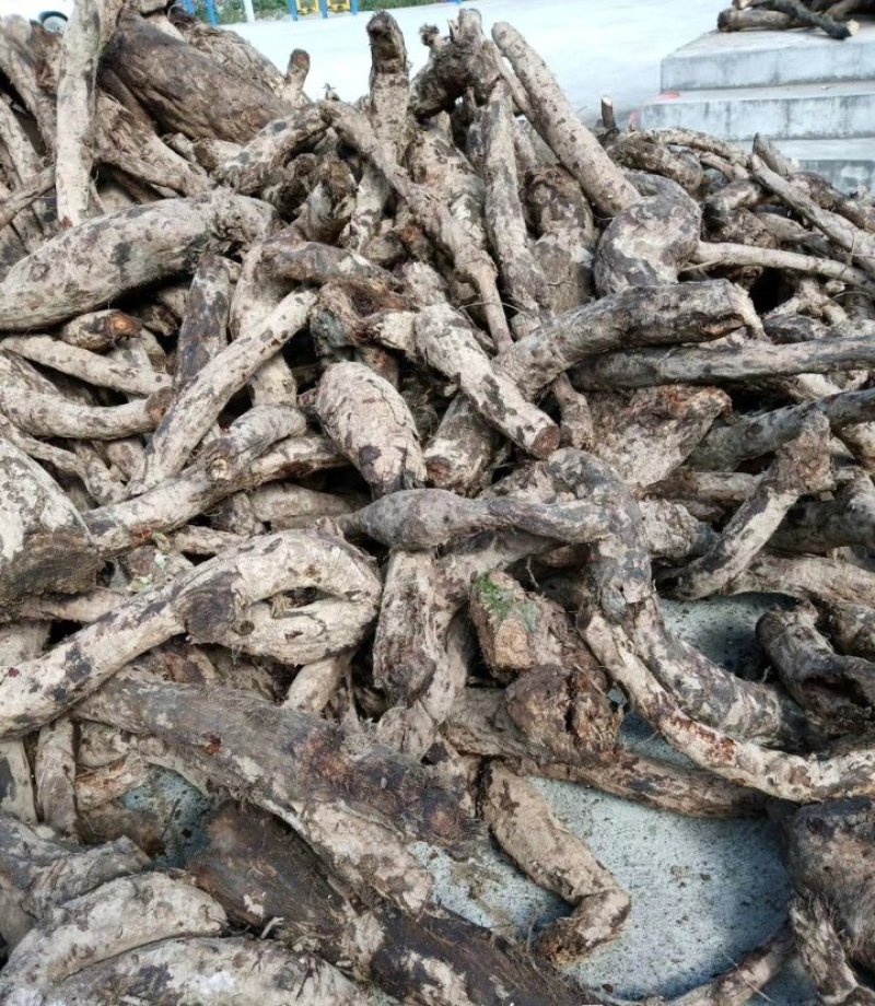 葛根，柴葛根