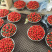 红颜巧克力🍓🍓
