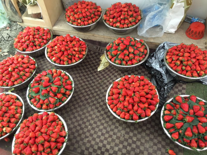 红颜巧克力🍓🍓
