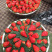 红颜巧克力🍓🍓