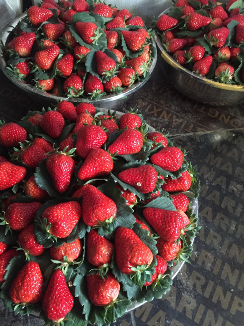 红颜巧克力🍓🍓