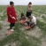特大西瓜种子金城五号高产耐旱中晚熟西瓜种免整枝懒汉瓜红心