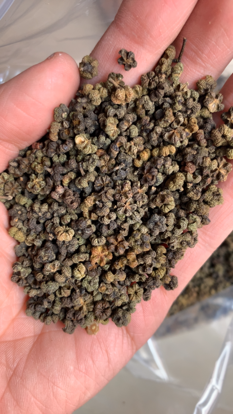 吴茱萸中花产地直销量大从优