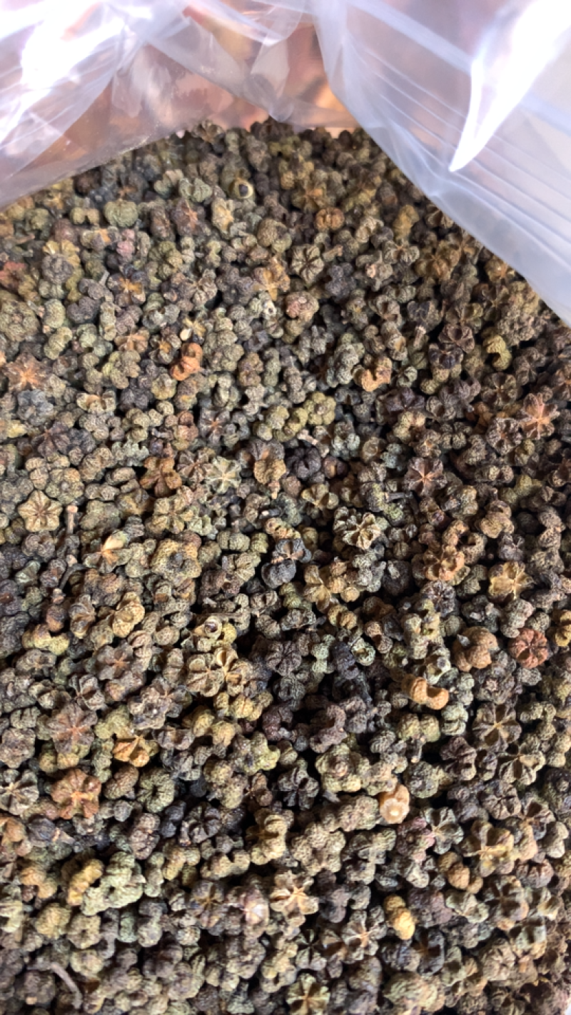 吴茱萸中花产地直销量大从优