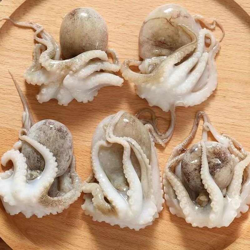 八爪鱼新鲜小章鱼冷冻章鱼足网红爆头八爪鱼鲜活小八爪鱼