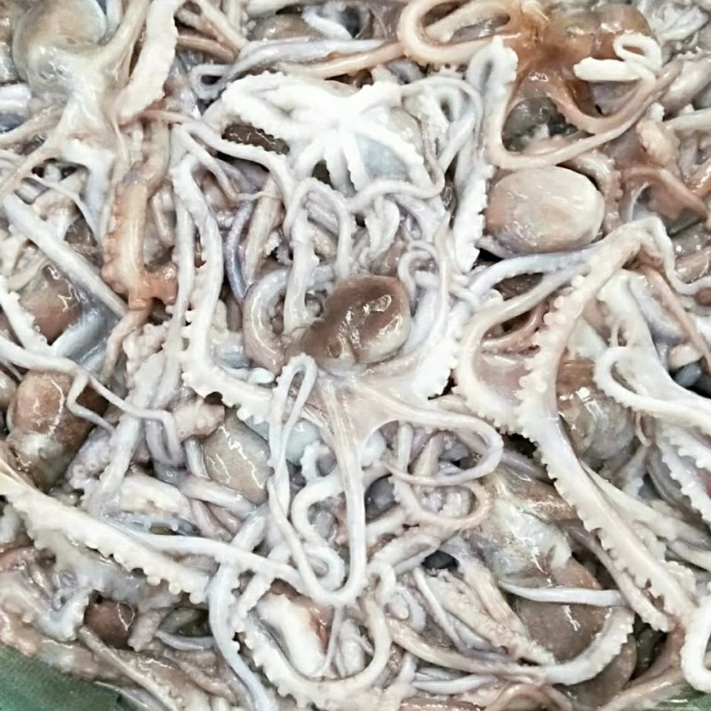 八爪鱼新鲜小章鱼冷冻章鱼足网红爆头八爪鱼鲜活小八爪鱼