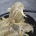 皮皮虾鲜活鲜冻皮皮虾熟冻虾爬子熟冻大母皮皮虾各个规格皮皮