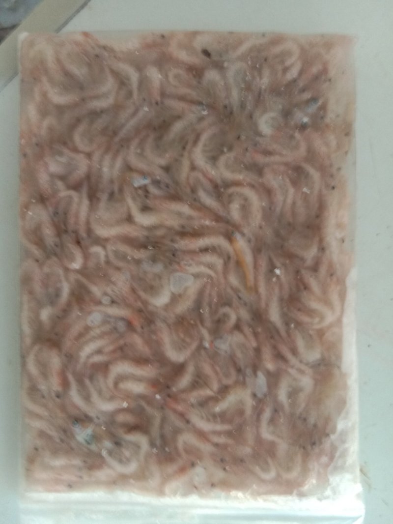 麦穗，柳根老头，泥鳅