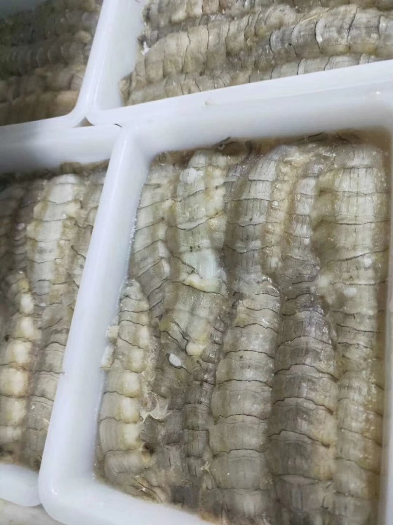 皮皮虾肉新鲜皮皮虾虾姑鲜剥