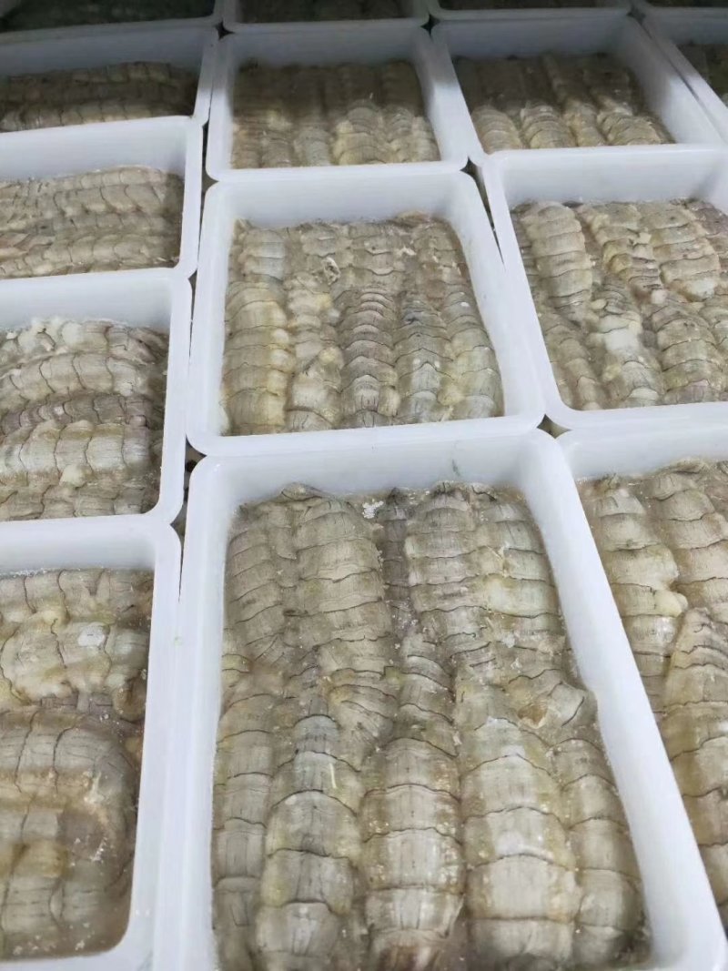 皮皮虾肉新鲜皮皮虾虾姑鲜剥