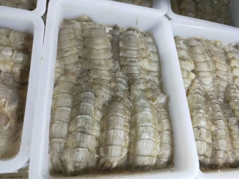 皮皮虾肉新鲜皮皮虾虾姑鲜剥