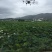 飞防服务