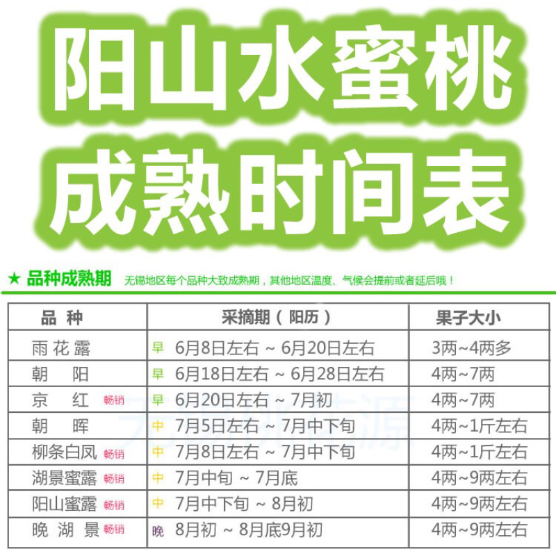 水蜜桃树苗嫁接阳山水蜜桃树苗黄桃冬桃当年结果