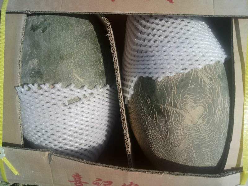 安迪尔甜瓜感兴趣的老板感觉联系