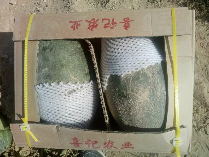 安迪尔甜瓜感兴趣的老板感觉联系