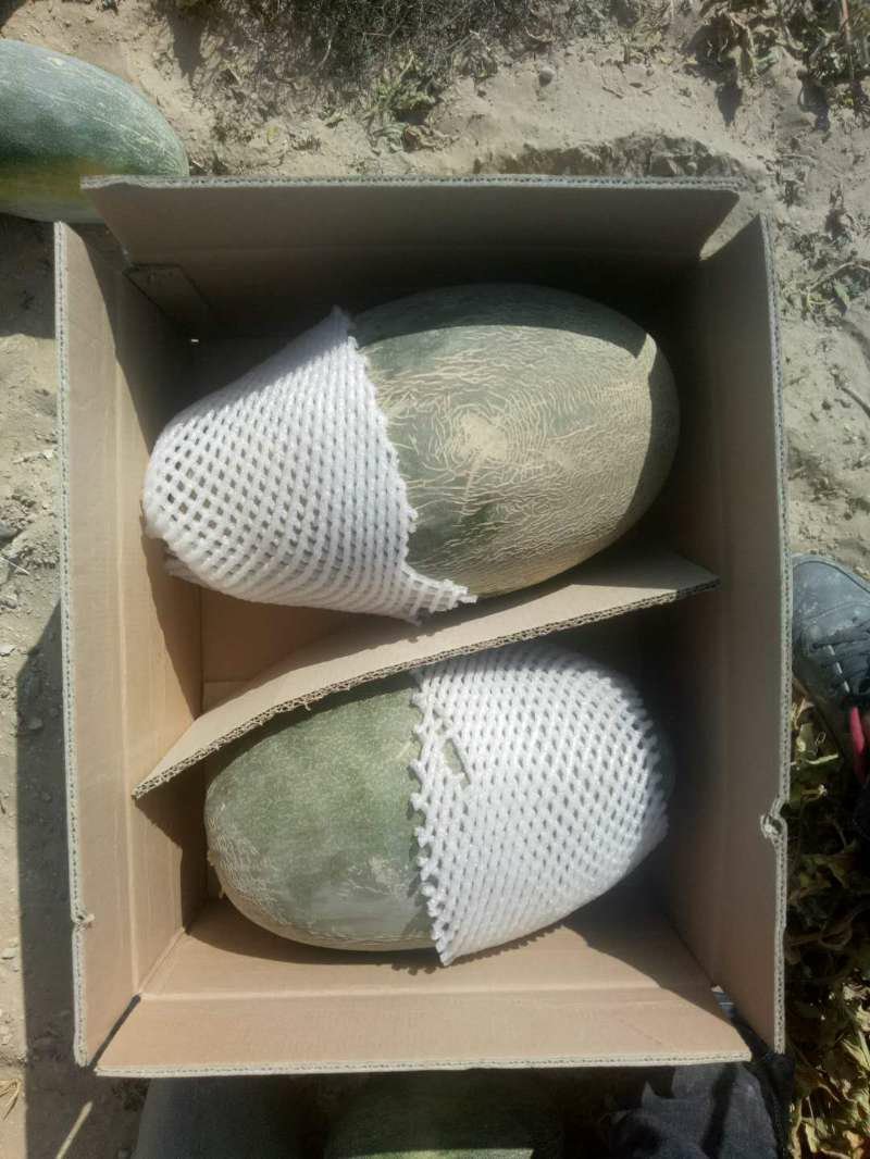 安迪尔甜瓜感兴趣的老板感觉联系