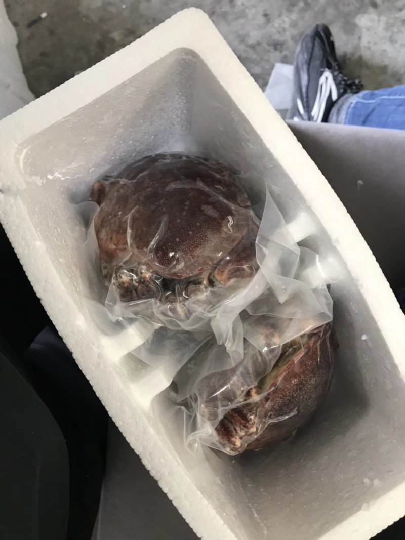 辽宁东港开袋即食质量好面包蟹