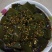 神仙豆腐树苗，树豆腐种苗