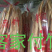 腐竹