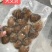 东港特产特别好的文贝无沙