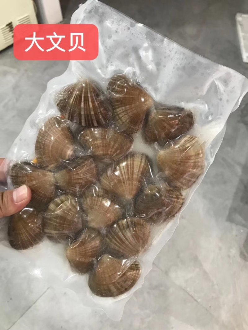 东港特产特别好的文贝无沙