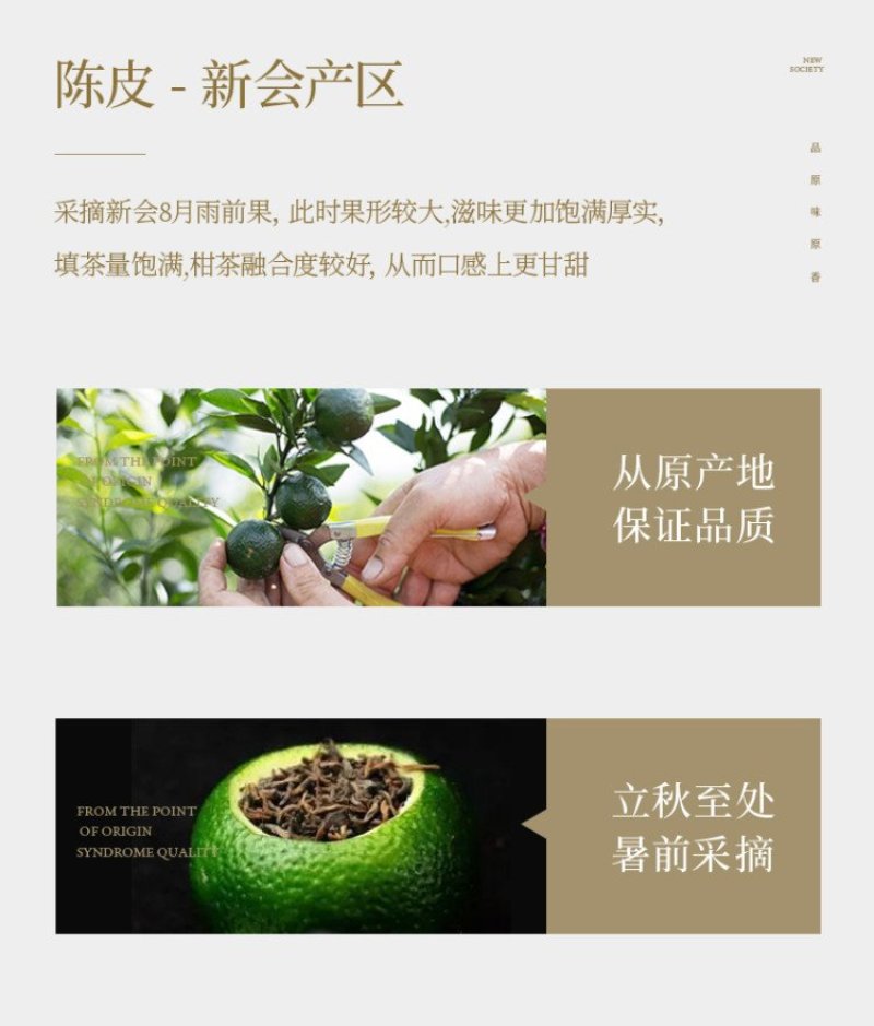 小青柑普洱茶送礼茶叶柑普小柑橘陈皮普洱茶500克一件代发