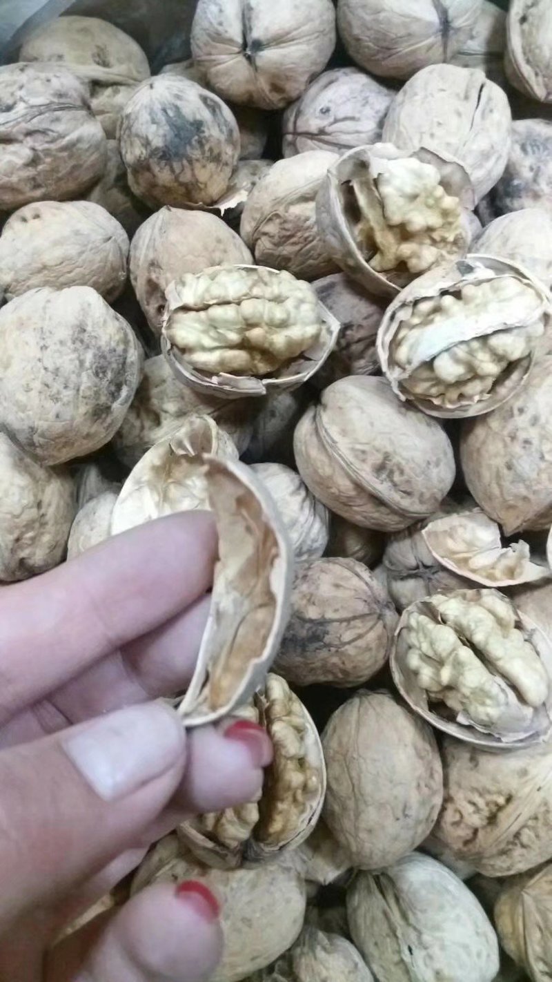 阿克苏185纸皮核桃