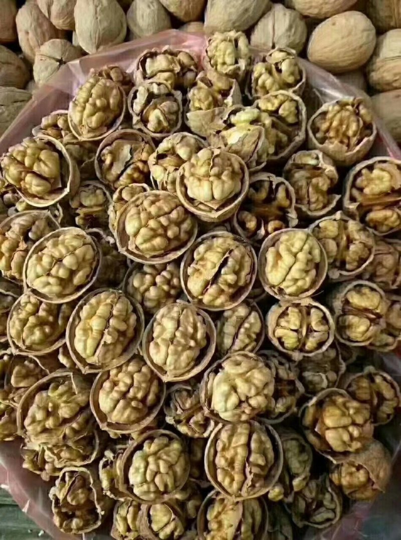 阿克苏185纸皮核桃