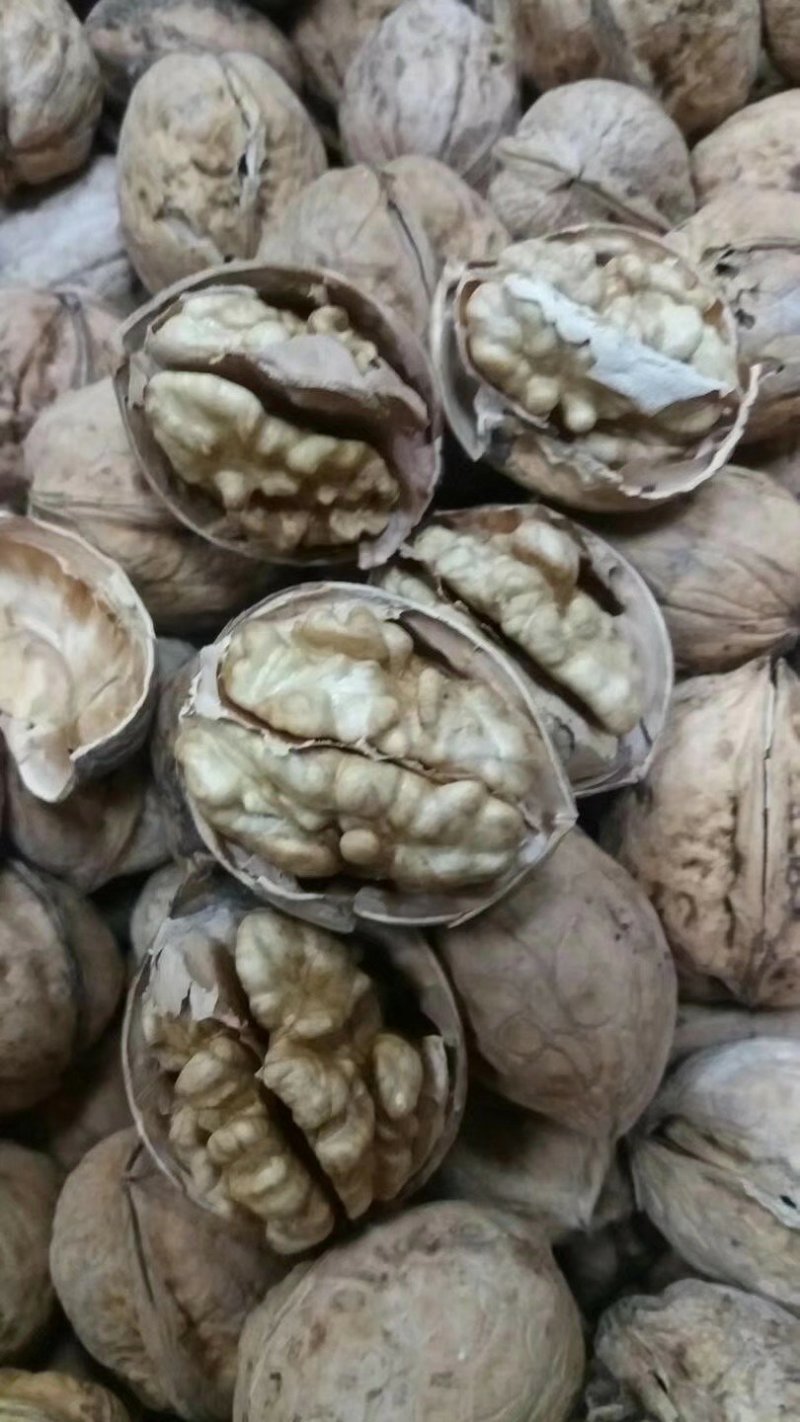 阿克苏185纸皮核桃