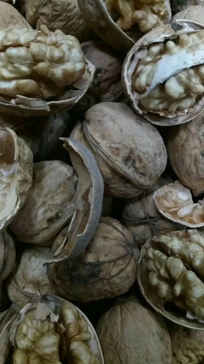 阿克苏185纸皮核桃