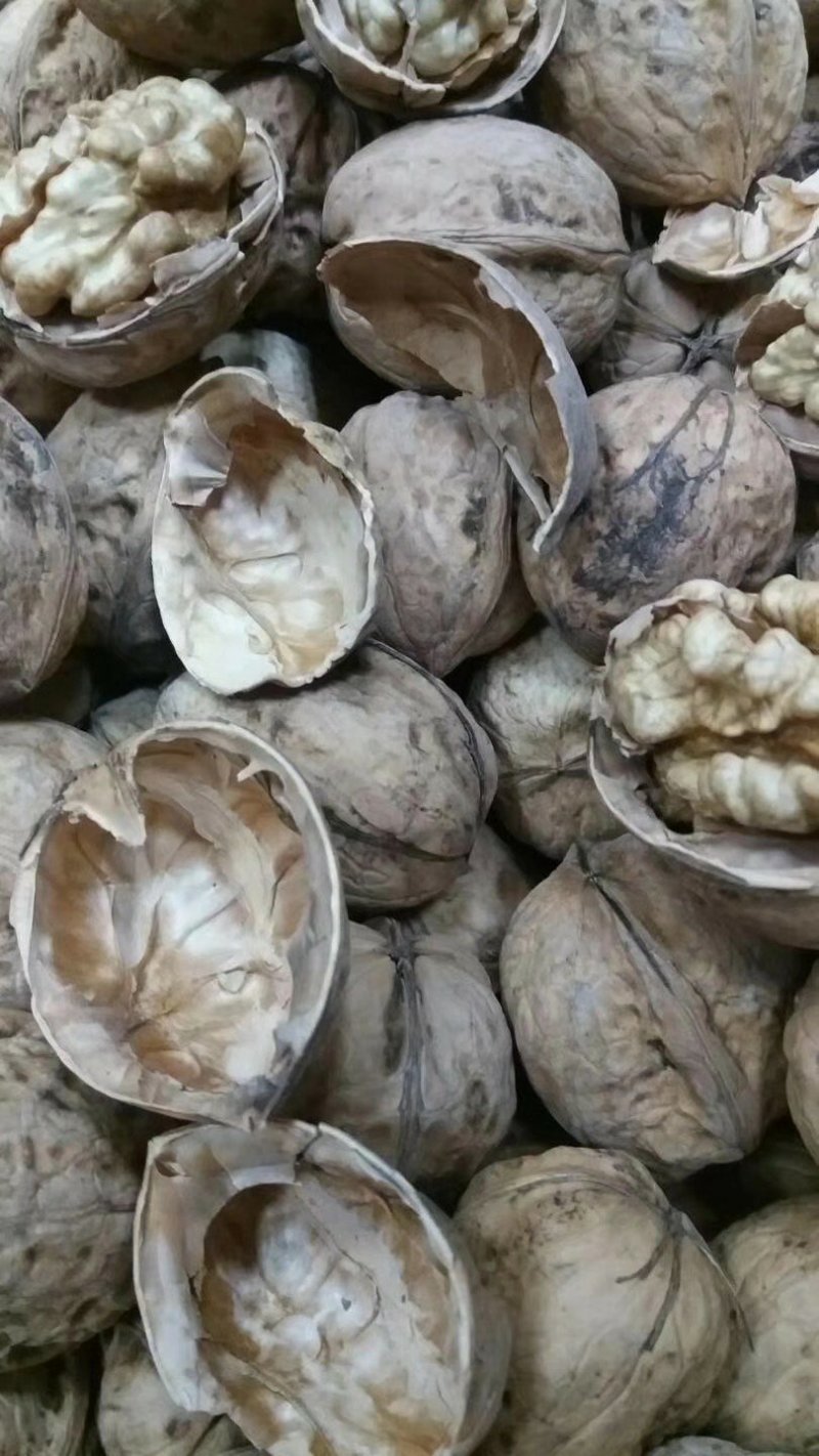 阿克苏185纸皮核桃