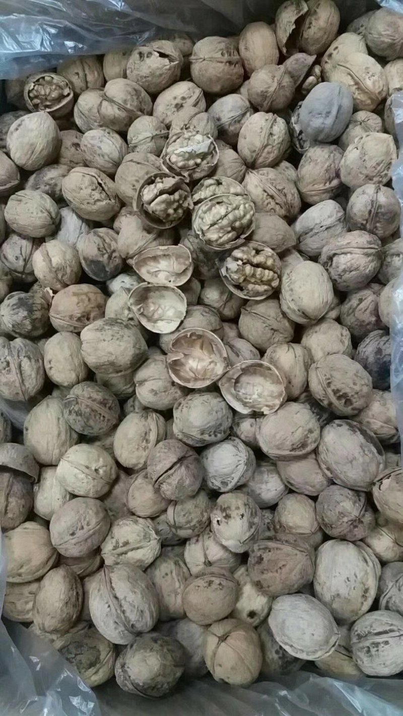 阿克苏185纸皮核桃