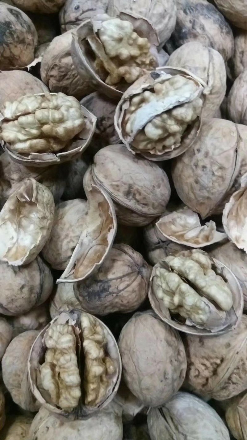 阿克苏185纸皮核桃