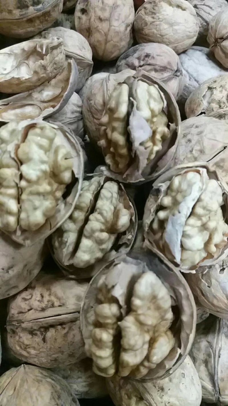 阿克苏185纸皮核桃
