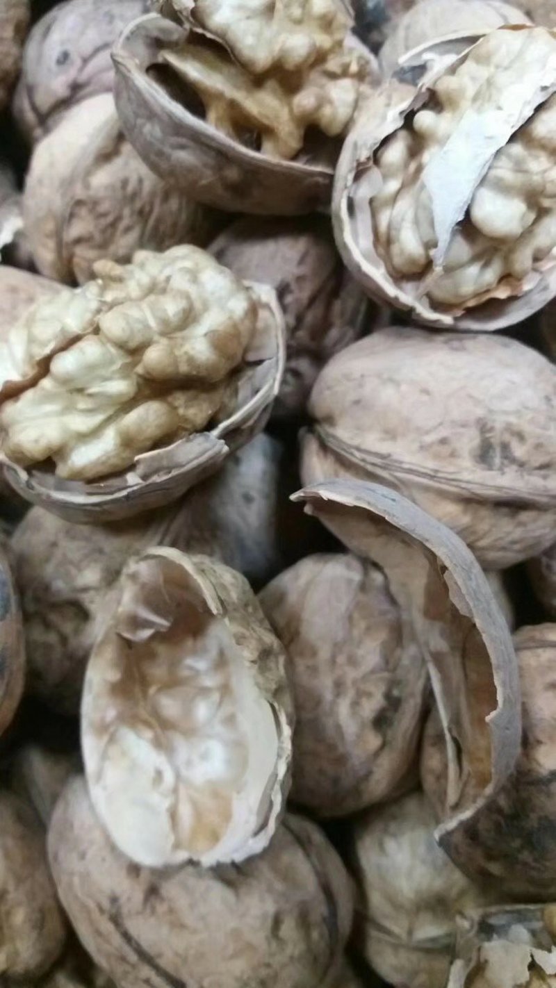 阿克苏185纸皮核桃