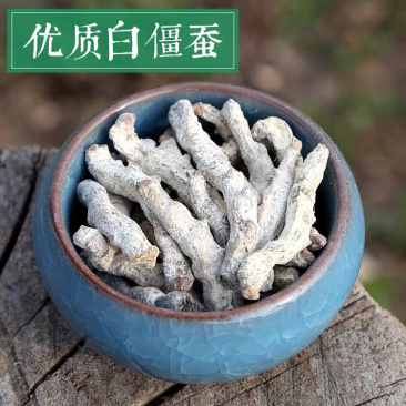 僵蚕精品新货价格美丽