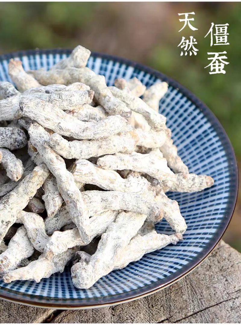 僵蚕精品新货价格美丽