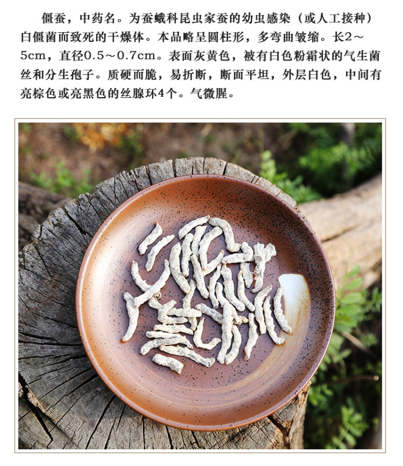 僵蚕精品新货价格美丽