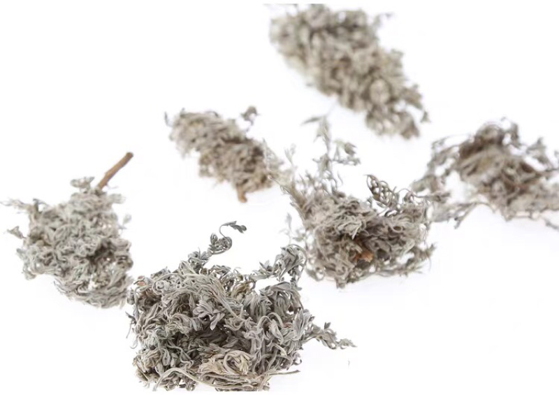 茵陈精品新货价格美丽