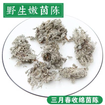 茵陈精品新货价格美丽