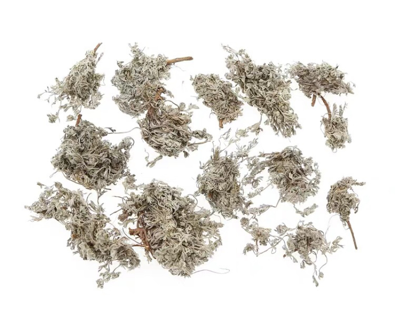 茵陈精品新货价格美丽